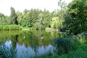 Парк Скоропадских, Тростянец